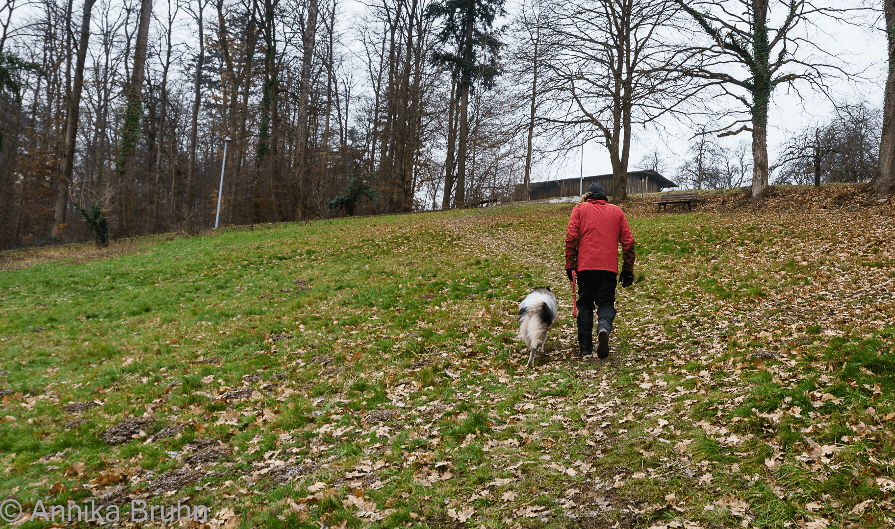 Morgentspaziergang mit Papa